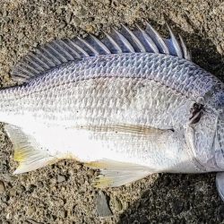 ズル引きチニング